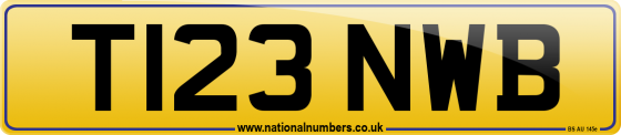 T123 NWB