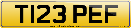T123 PEF