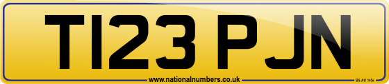 T123 PJN