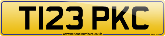 T123 PKC