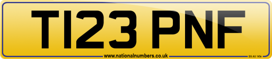 T123 PNF
