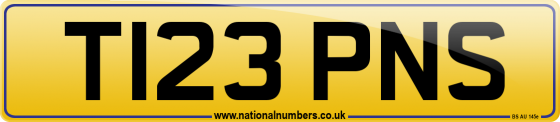 T123 PNS