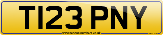 T123 PNY