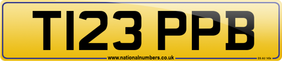T123 PPB