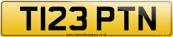 T123 PTN