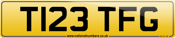 T123 TFG