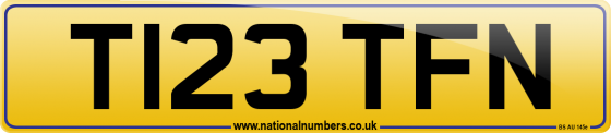 T123 TFN