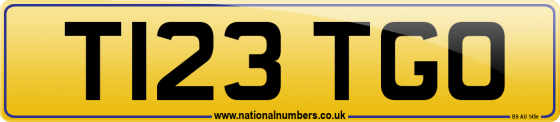T123 TGO