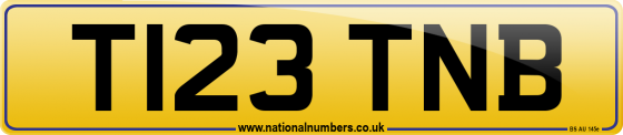 T123 TNB