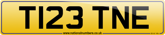 T123 TNE