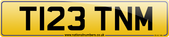 T123 TNM