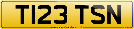 T123 TSN