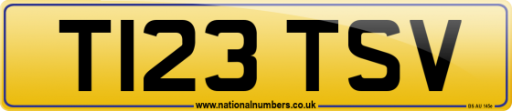 T123 TSV