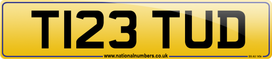 T123 TUD