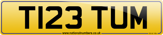 T123 TUM