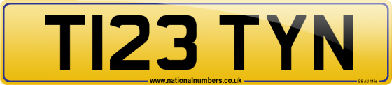 T123 TYN