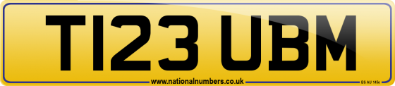 T123 UBM