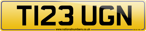 T123 UGN