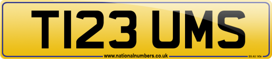 T123 UMS