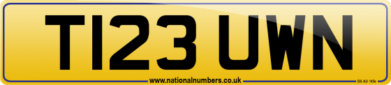 T123 UWN
