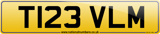 T123 VLM
