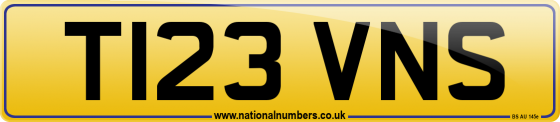 T123 VNS