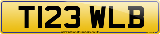 T123 WLB