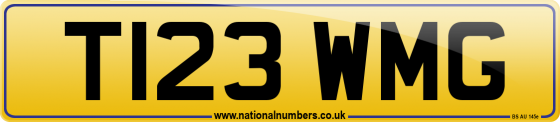 T123 WMG