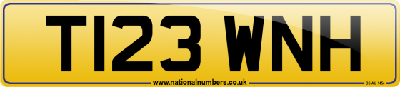 T123 WNH