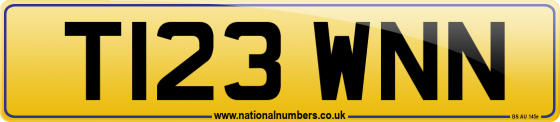T123 WNN