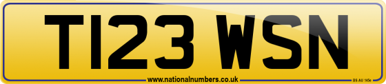 T123 WSN