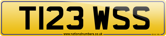 T123 WSS