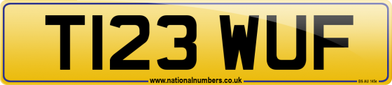 T123 WUF