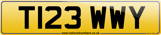T123 WWY
