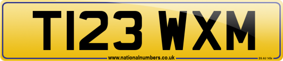 T123 WXM