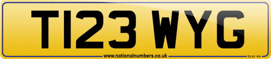 T123 WYG