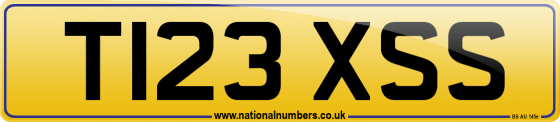 T123 XSS