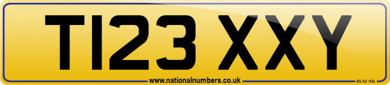 T123 XXY