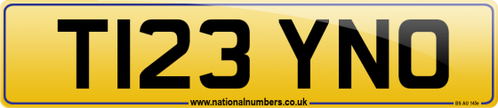 T123 YNO