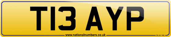 T13 AYP