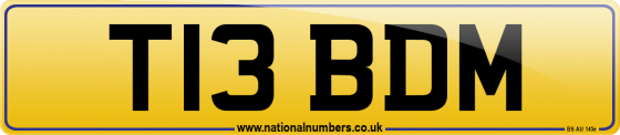 T13 BDM