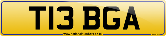 T13 BGA