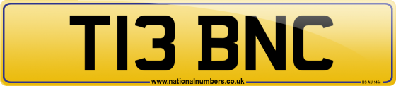 T13 BNC