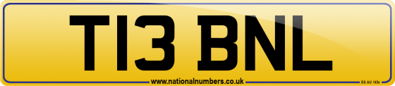 T13 BNL