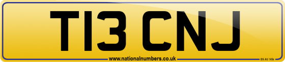 T13 CNJ