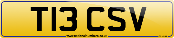 T13 CSV