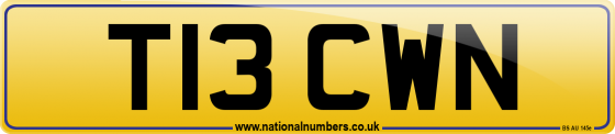 T13 CWN