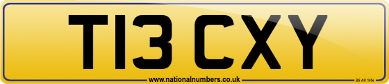T13 CXY