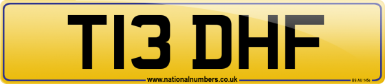 T13 DHF