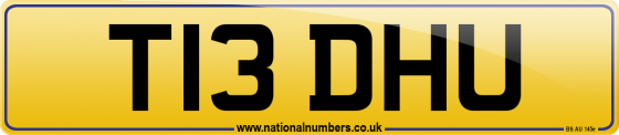 T13 DHU